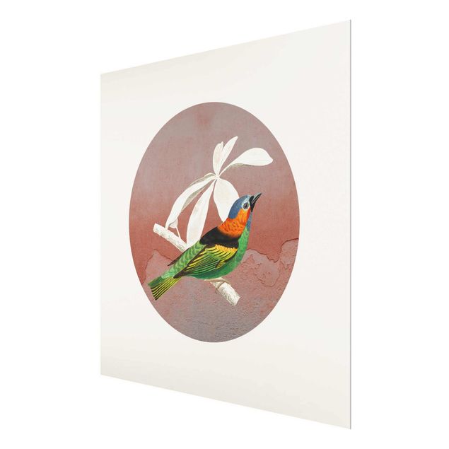 Glass print - Bird Collage In A Circle ll