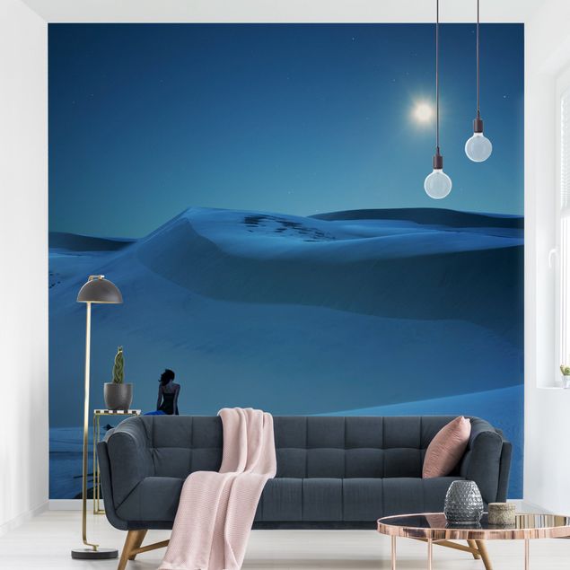 Wallpapers Full Moon Over The Desert