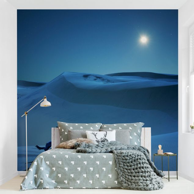 Wallpaper - Full Moon Over The Desert