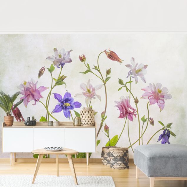 Adhesive wallpaper floral - Aquilegia Vulgaris