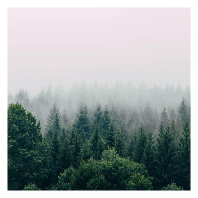 Walpaper - Foggy Forest Twilight