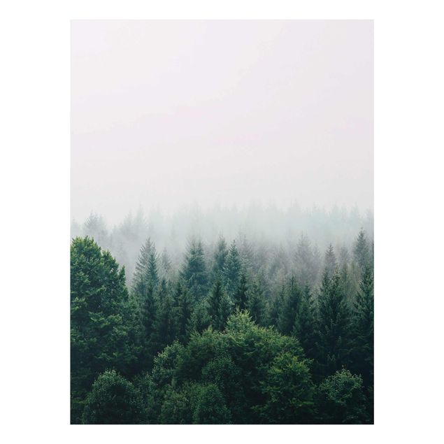 Glass print - Foggy Forest Twilight