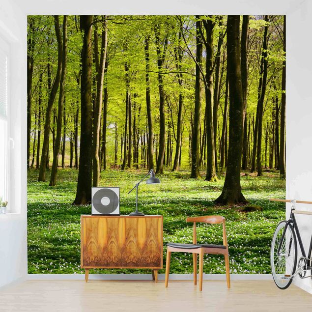 Wallpaper - Forest Meadow