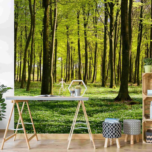 Wallpaper - Forest Meadow