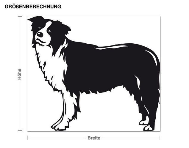 Dog wall decals Bordercollie