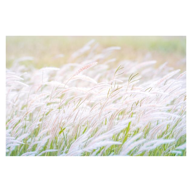 Walpaper - Soft Grasses