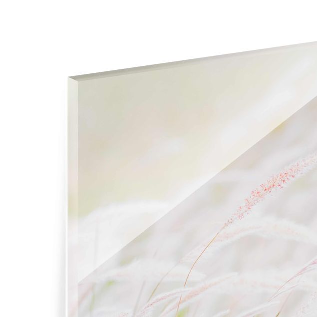 Glass print - Soft Grasses