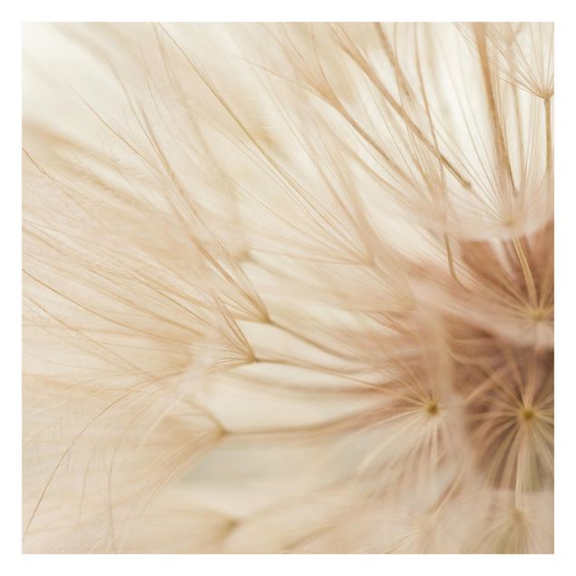 Walpaper - Soft Dandelions