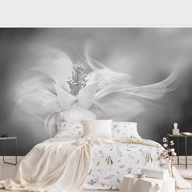 Wallpaper - White Aquilegia Black And White