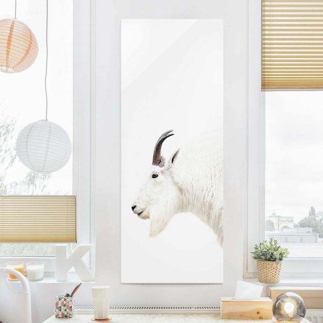 Magnettafel Glas White Mountain Goat