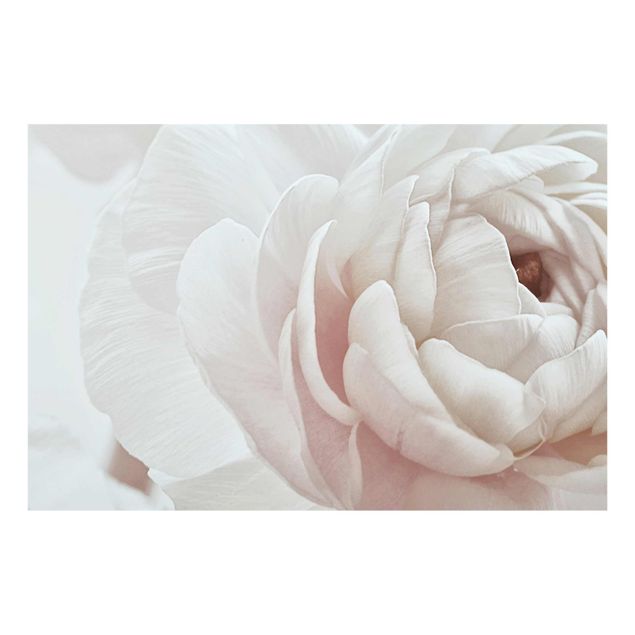 Glass print - White Flower In An Ocean Of Flowers