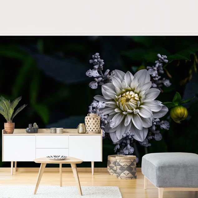 Wallpaper - White Dahlia