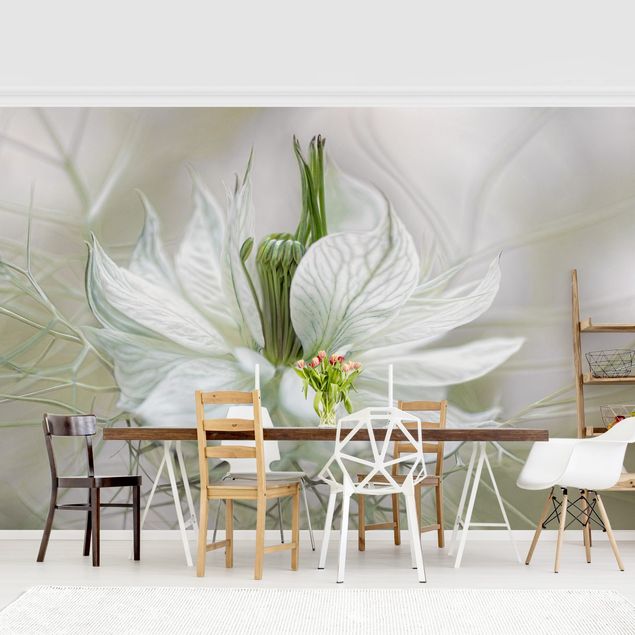 Wallpaper - White Nigella
