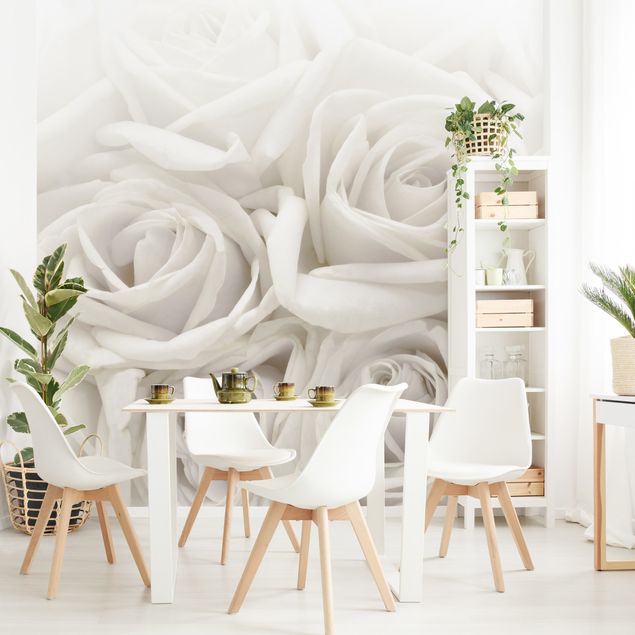 Wallpaper - White Roses
