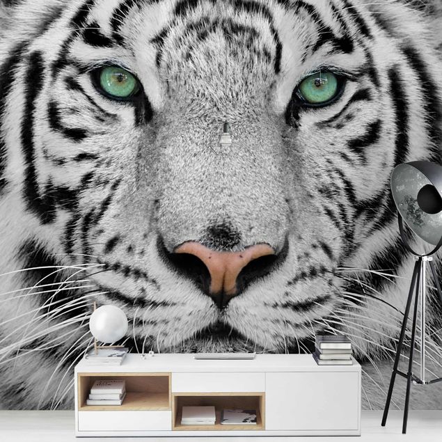 Wallpaper - White Tiger