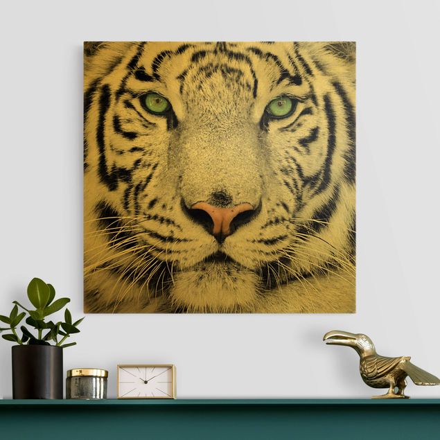 Print on canvas - White Tiger