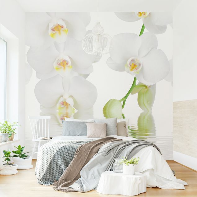 Wallpapers Spa Orchid - White Orchid