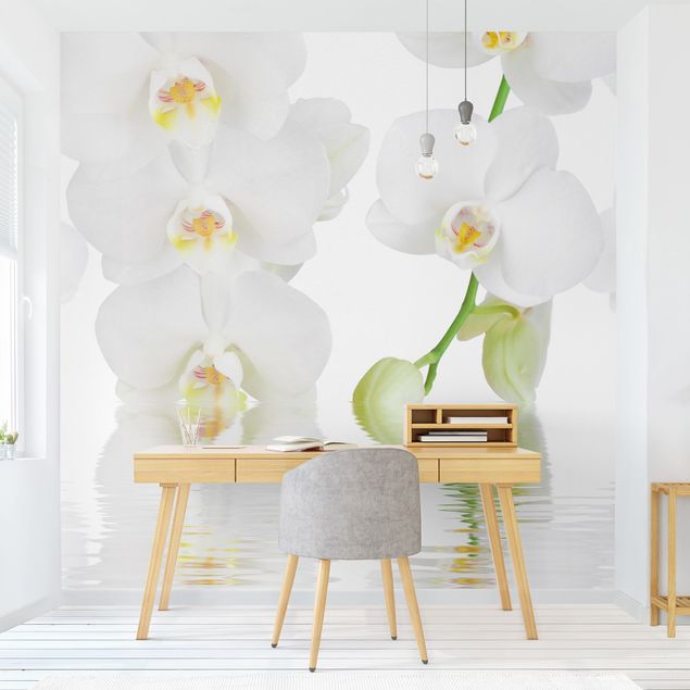 Wallpaper - Spa Orchid - White Orchid