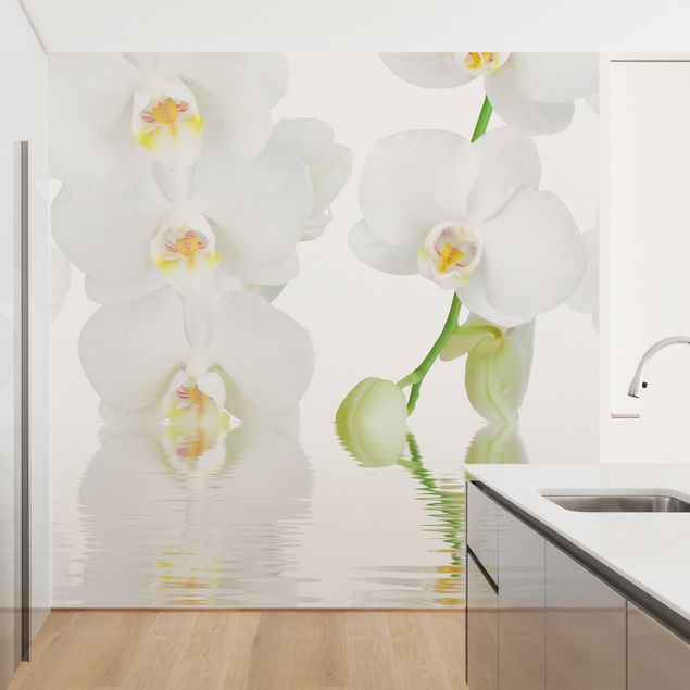 Wallpaper - Spa Orchid - White Orchid