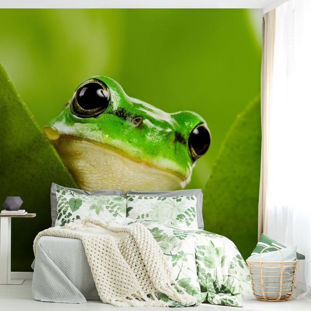 Wallpapers Frog
