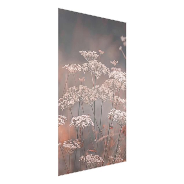 Glass print - Wild Apiaceae