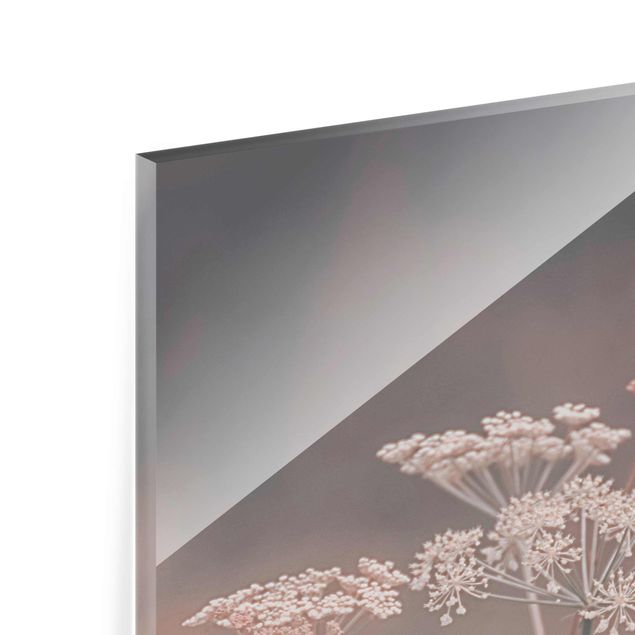 Glass print - Wild Apiaceae