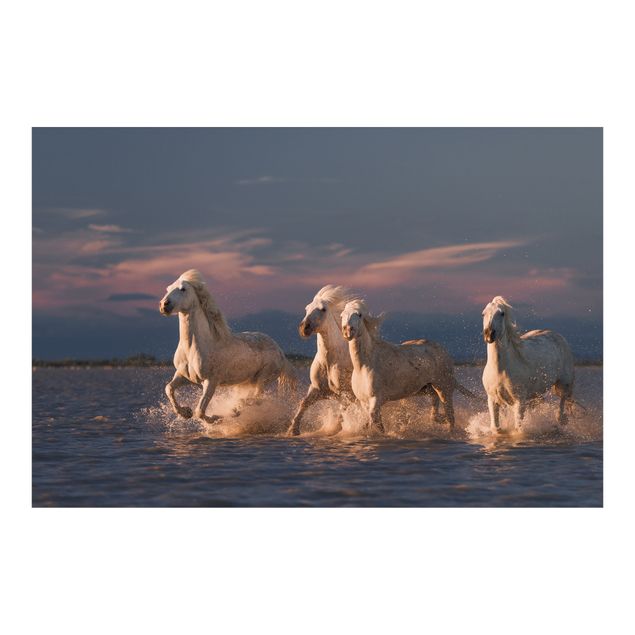 Wallpaper - Wild Horses In Kamargue