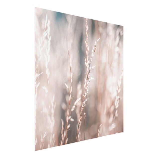 Glass print - Wild Meadow
