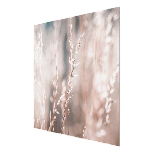 Glass print - Wild Meadow