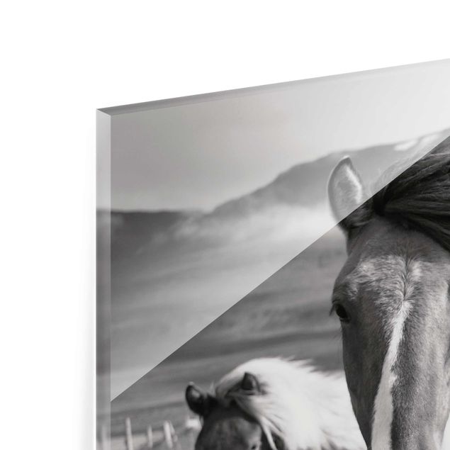 Glass print - Wild Horses Black And White