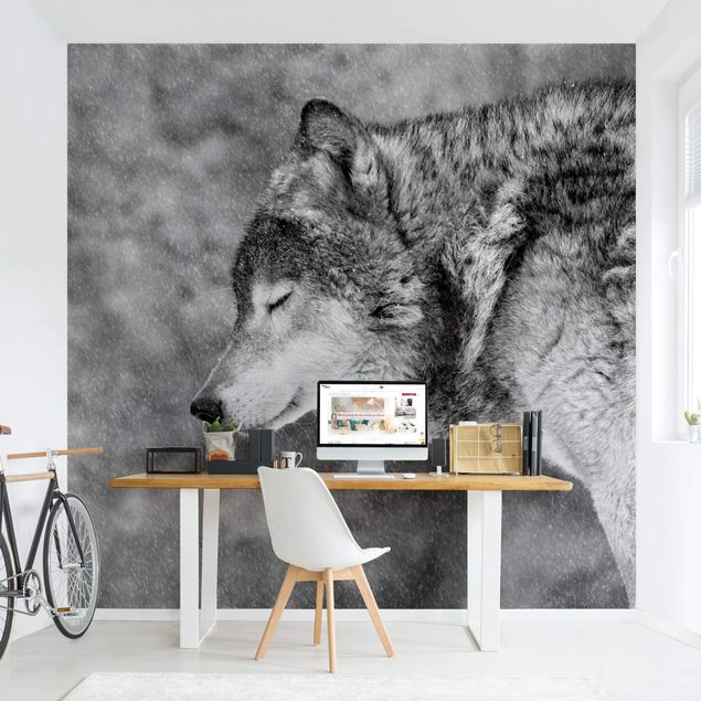 Wallpaper - Winter Wolf