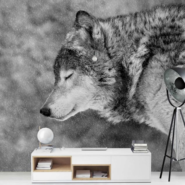 Wallpaper - Winter Wolf