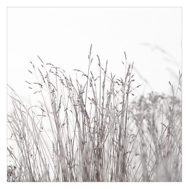 Walpaper - Winter Grasses