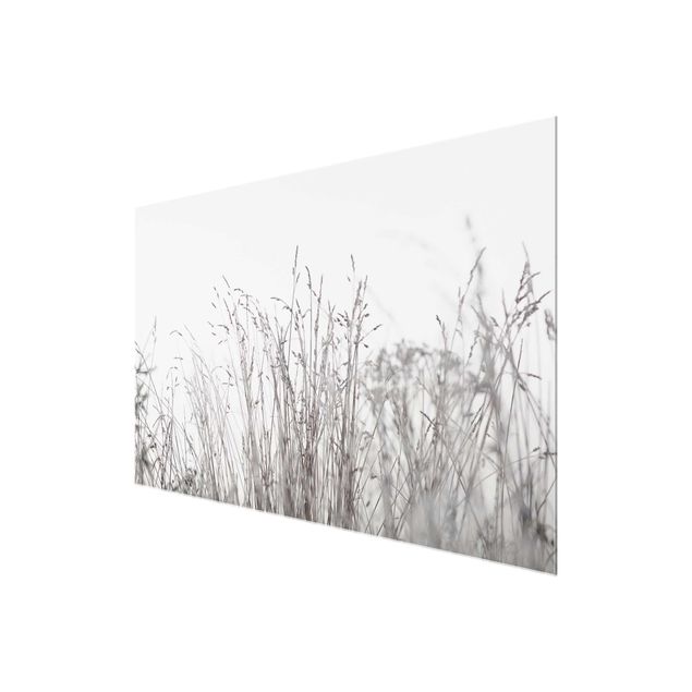 Glass print - Winter Grasses