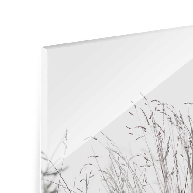 Glass print - Winter Grasses