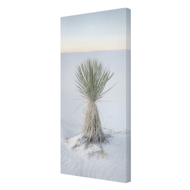 Canvas print - Yucca palm in white sand - Portrait format1:2