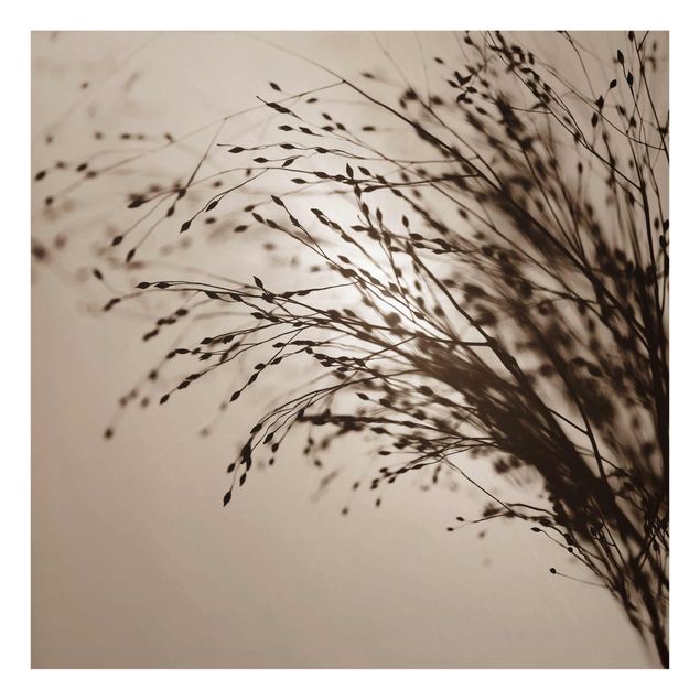 Glass print - Soft Grasses In Morning Mist