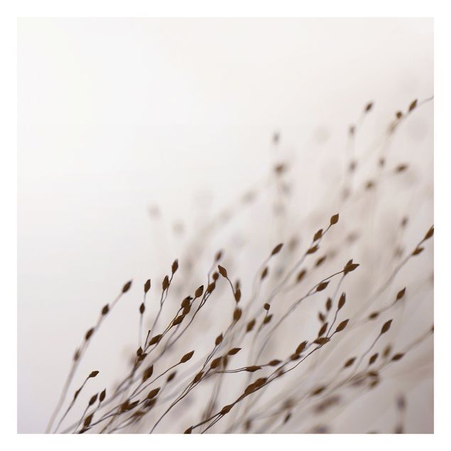 Wallpaper - Soft Grasses In Slipstream