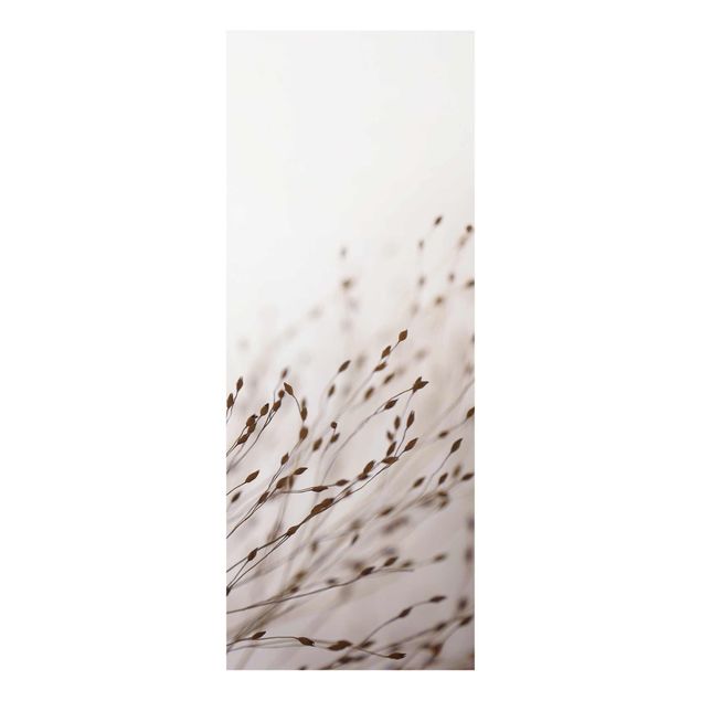 Glass print - Soft Grasses In Slipstream