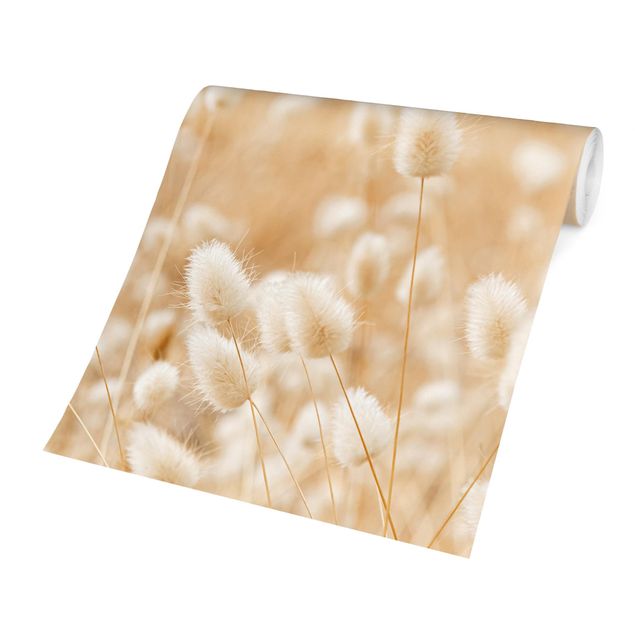 Walpaper - Delicate Grasses
