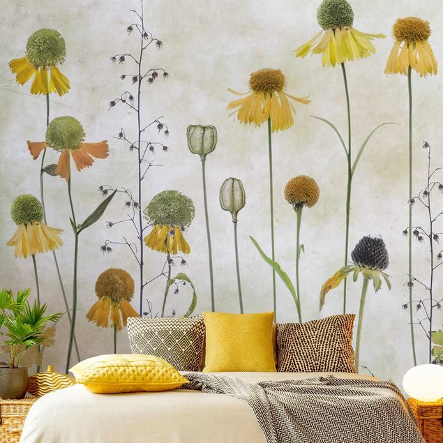 Wallpapers Delicate Helenium Flowers