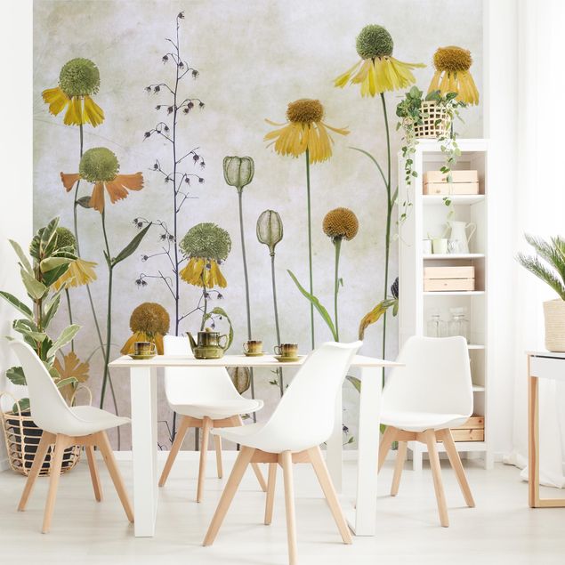 Adhesive wallpaper floral - Delicate Helenium Flowers