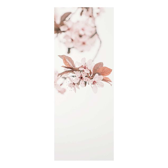 Glass print - Delicate Cherry Blossoms On A Twig