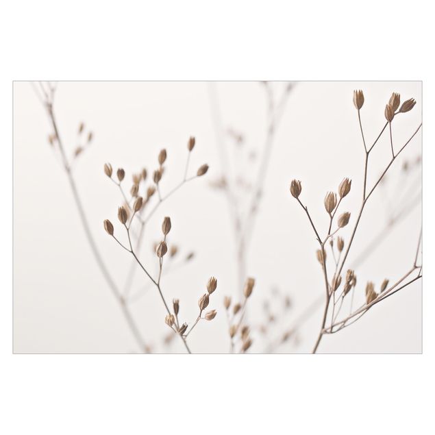 Walpaper - Delicate Buds On A Wildflower Stem