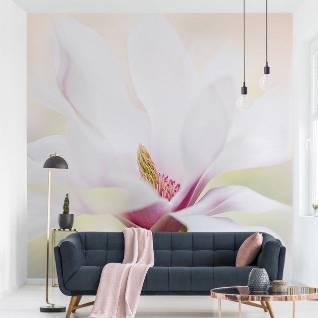 Wallpapers Delicate Magnolia Blossom