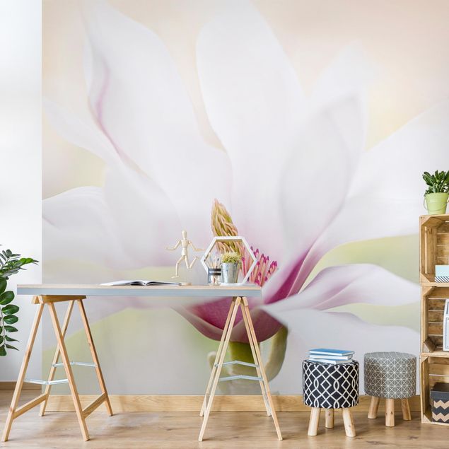 Adhesive wallpaper floral - Delicate Magnolia Blossom