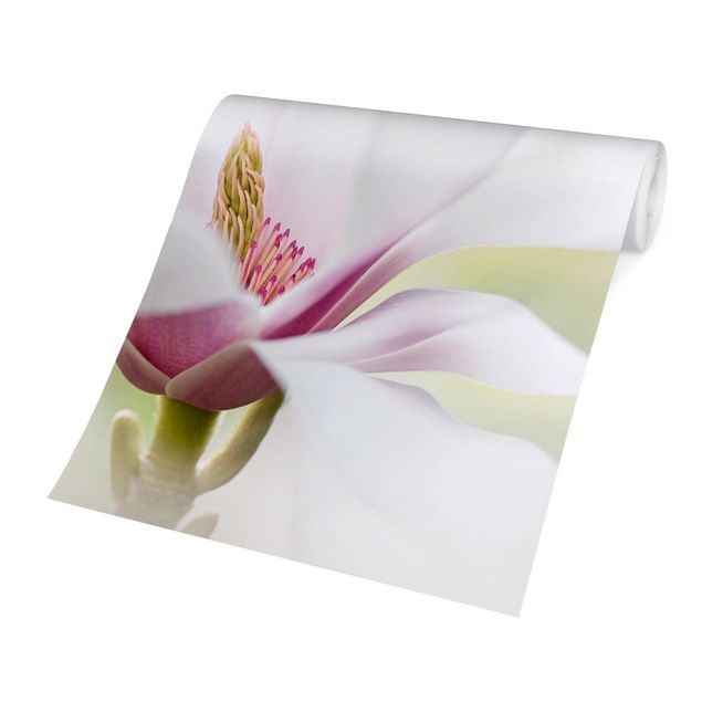Adhesive wallpaper floral - Delicate Magnolia Blossom