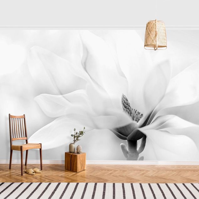 Wallpapers Delicate Magnolia Flowers Black and White