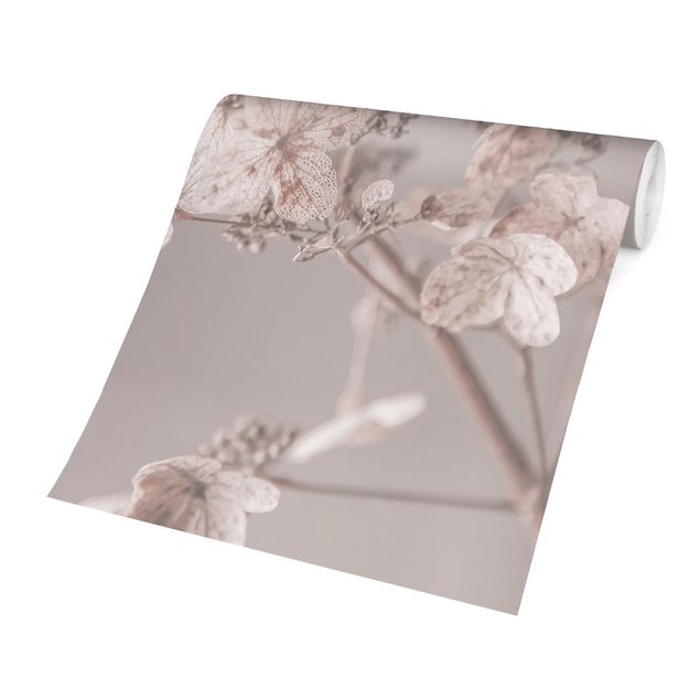 Walpaper - Delicate White Hydrangea