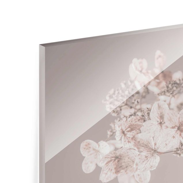 Glass print - Delicate White Hydrangea